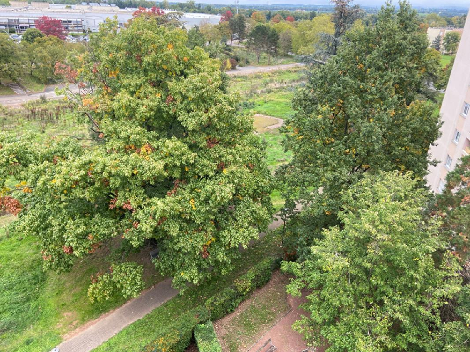 Image_8, Appartement, Roanne, ref :1686