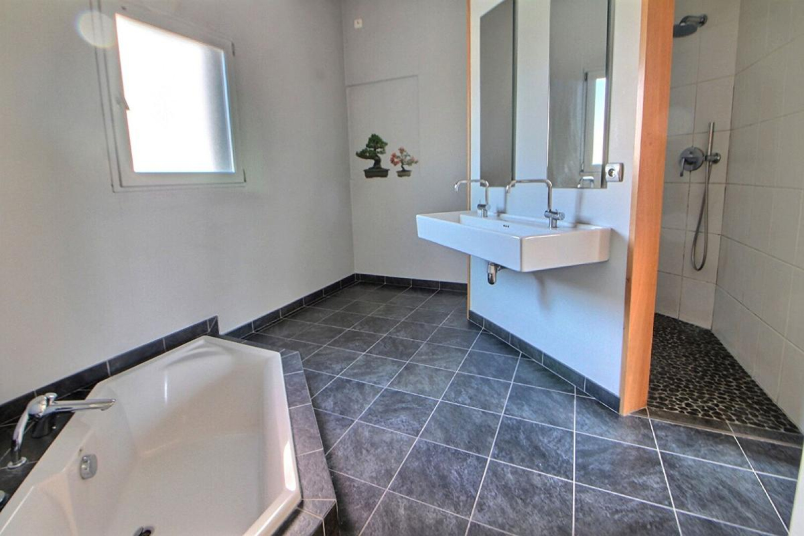 Image_6, Maison, Roanne, ref :169AM11