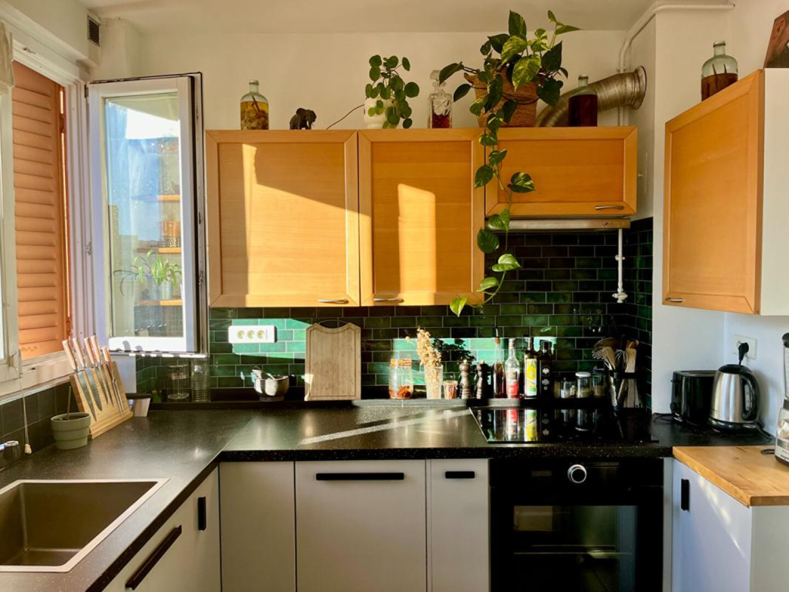 Image_1, Appartement, Villeurbanne, ref :12217KFD