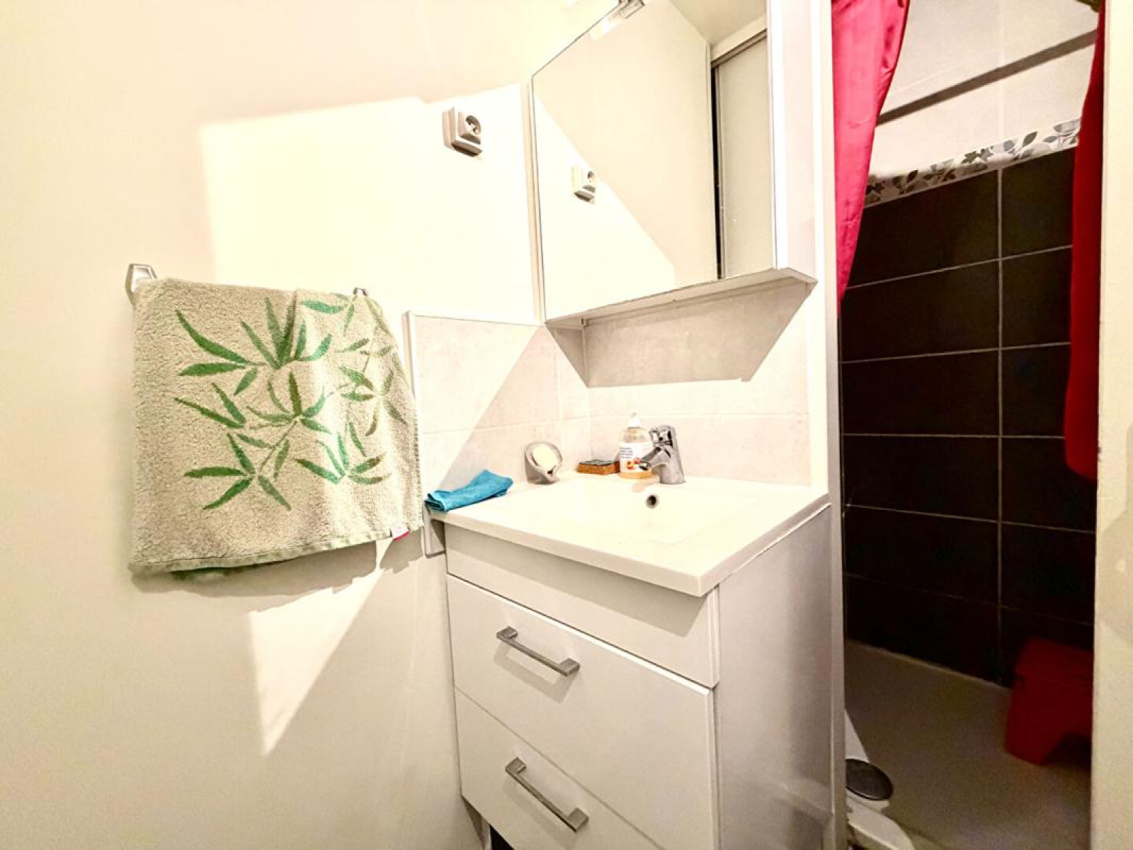 Image_6, Appartement, Bron, ref :12284