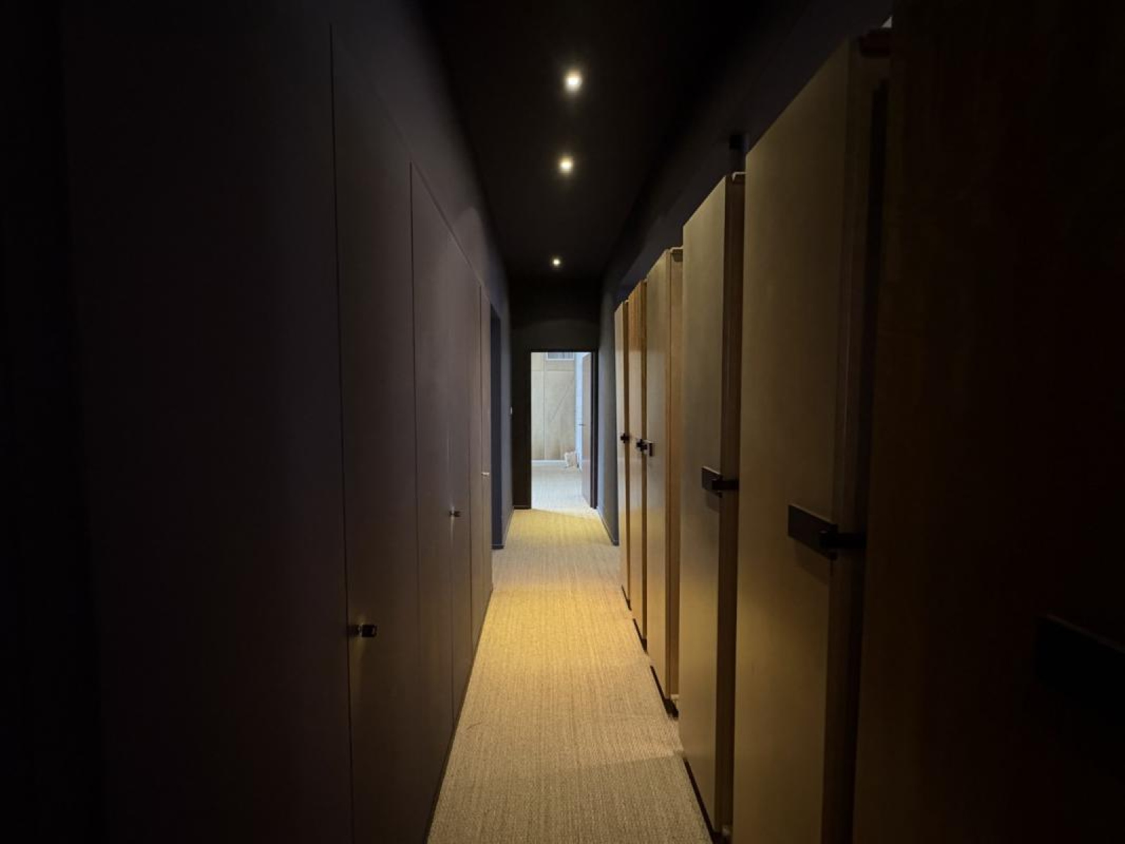 Image_4, Local commercial, Roanne, ref :87089