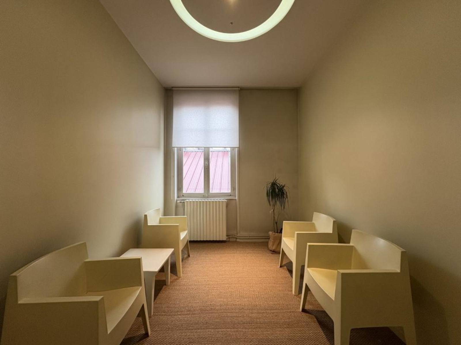 Image_11, Local commercial, Roanne, ref :87089