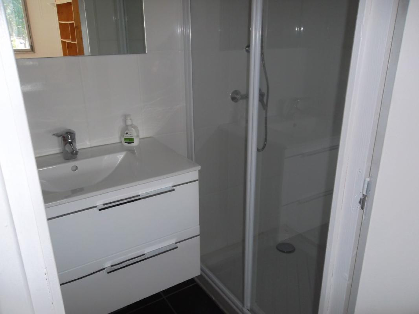 Image_4, Appartement, Roanne, ref :111474