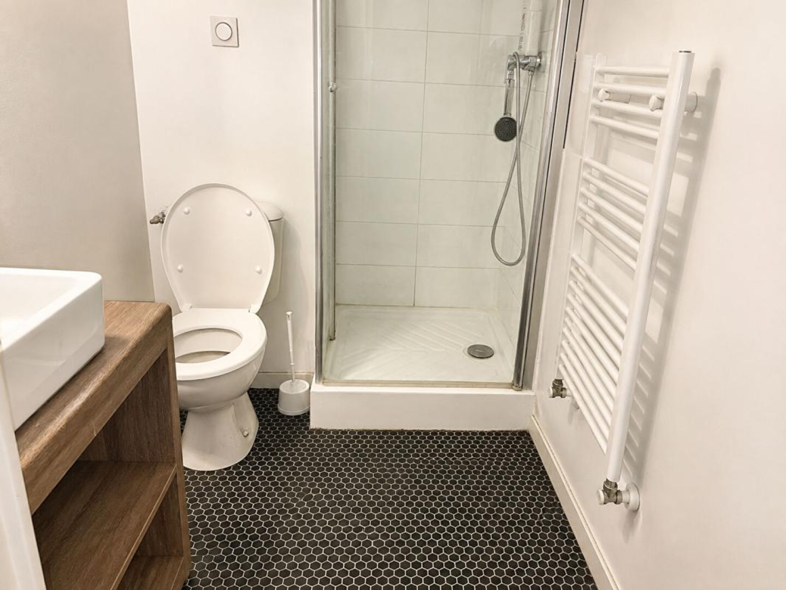Image_3, Appartement, Villeurbanne, ref :12408
