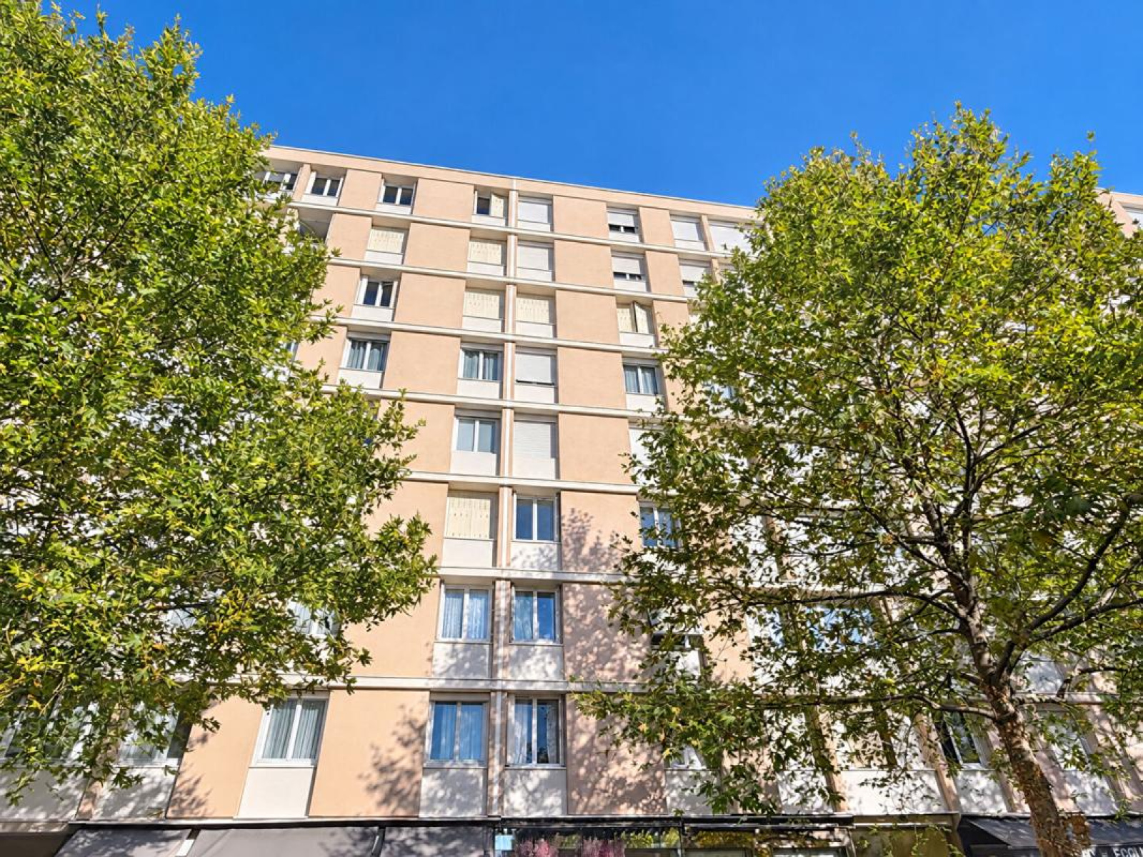 Image_7, Appartement, Villeurbanne, ref :12424