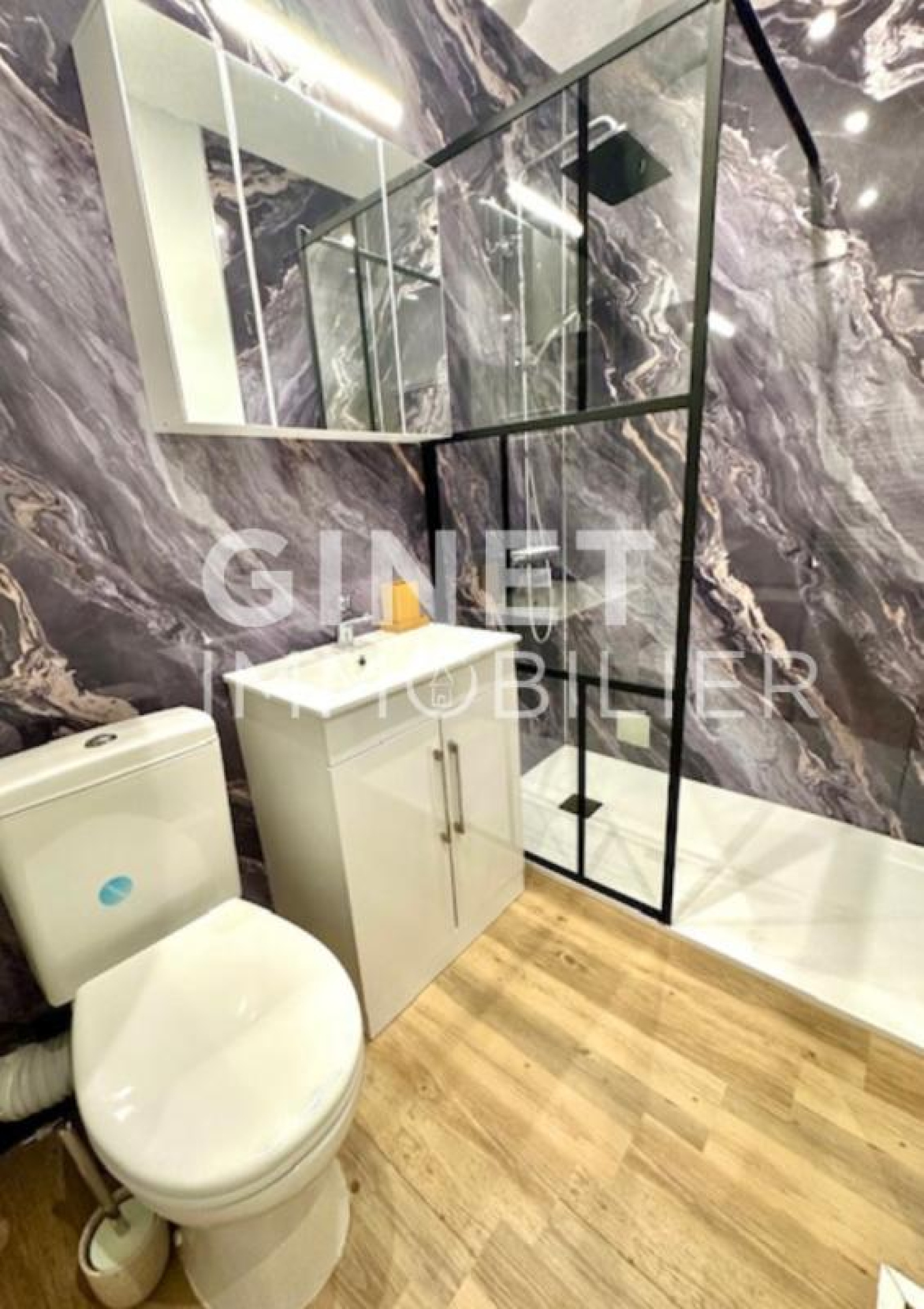 Image_7, Appartement, Lyon, ref :112784