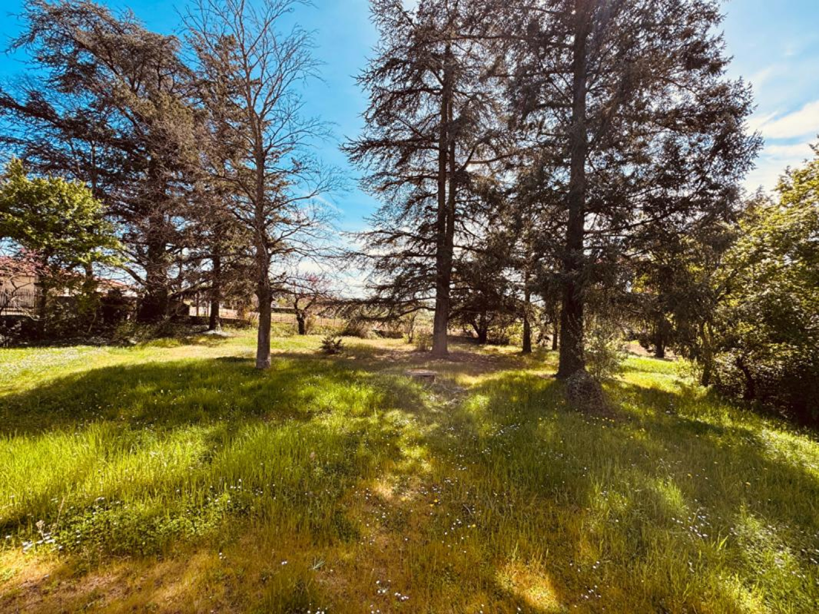 Image_11, Maison, Perreux, ref :12121