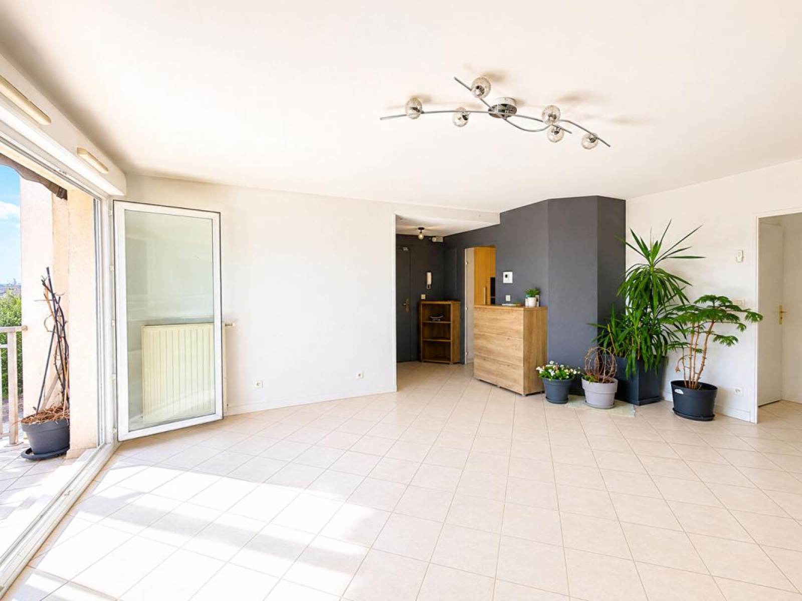 Image_8, Duplex, Lyon, ref :1887LM1