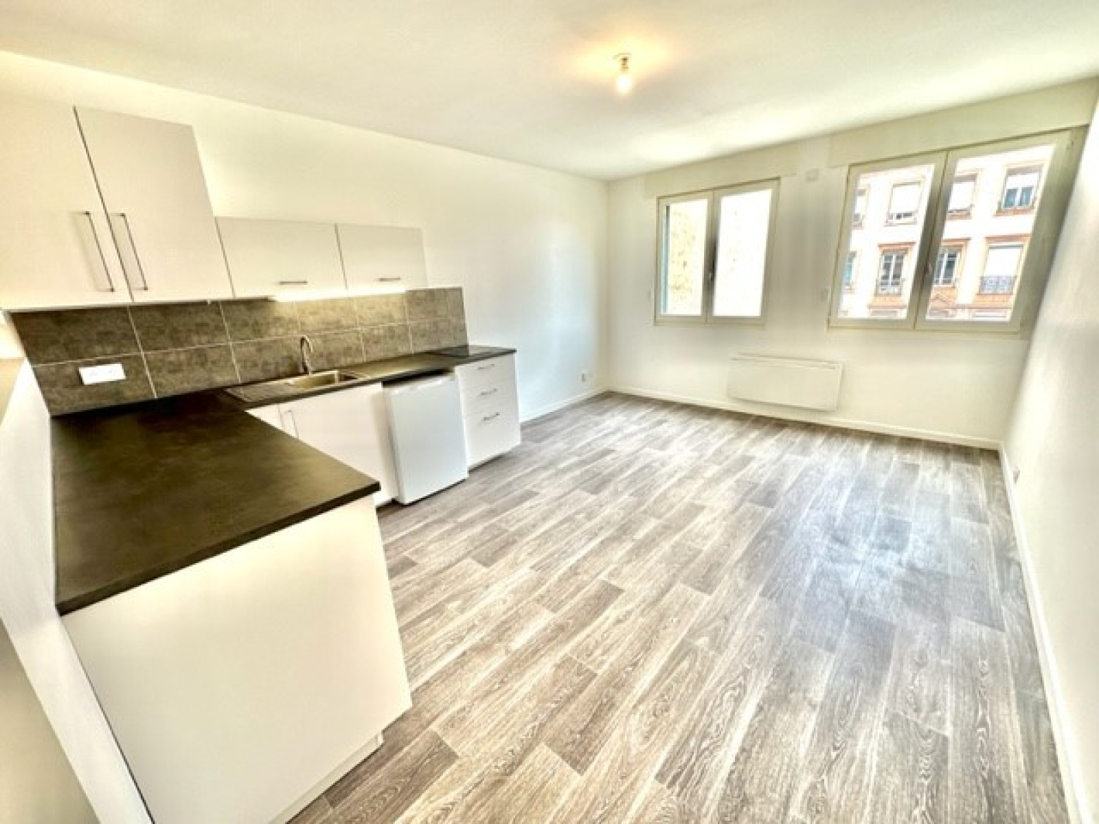 Image_1, Appartement, Villeurbanne, ref :125945
