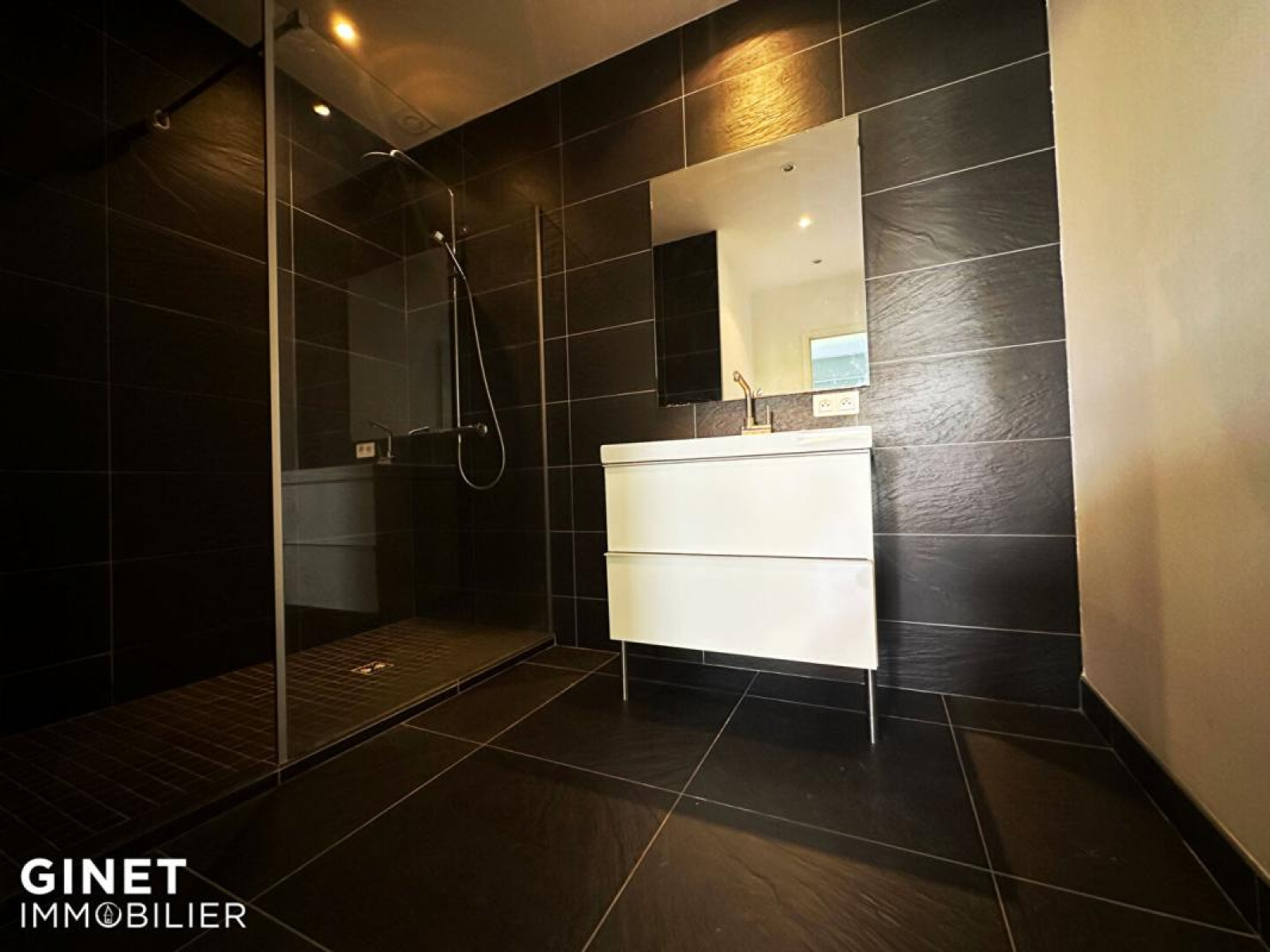 Image_7, Loft, Roanne, ref :12145