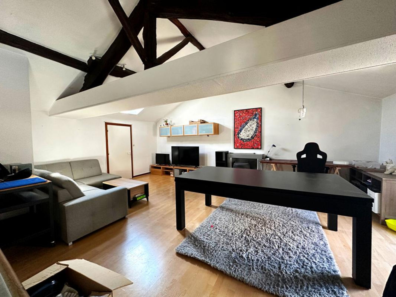 Vente Appartement Rénové avec Garage en CentreVille du Coteau Charme