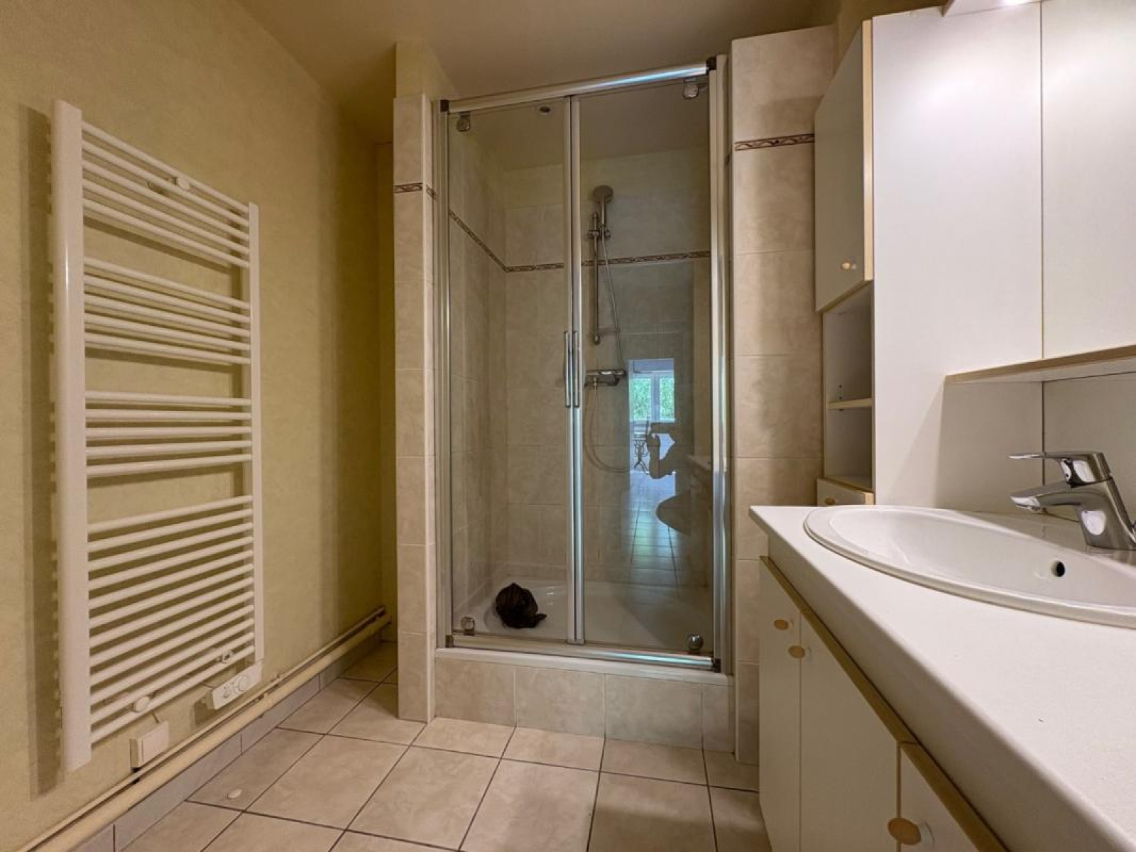 Image_6, Appartement, Roanne, ref :110522