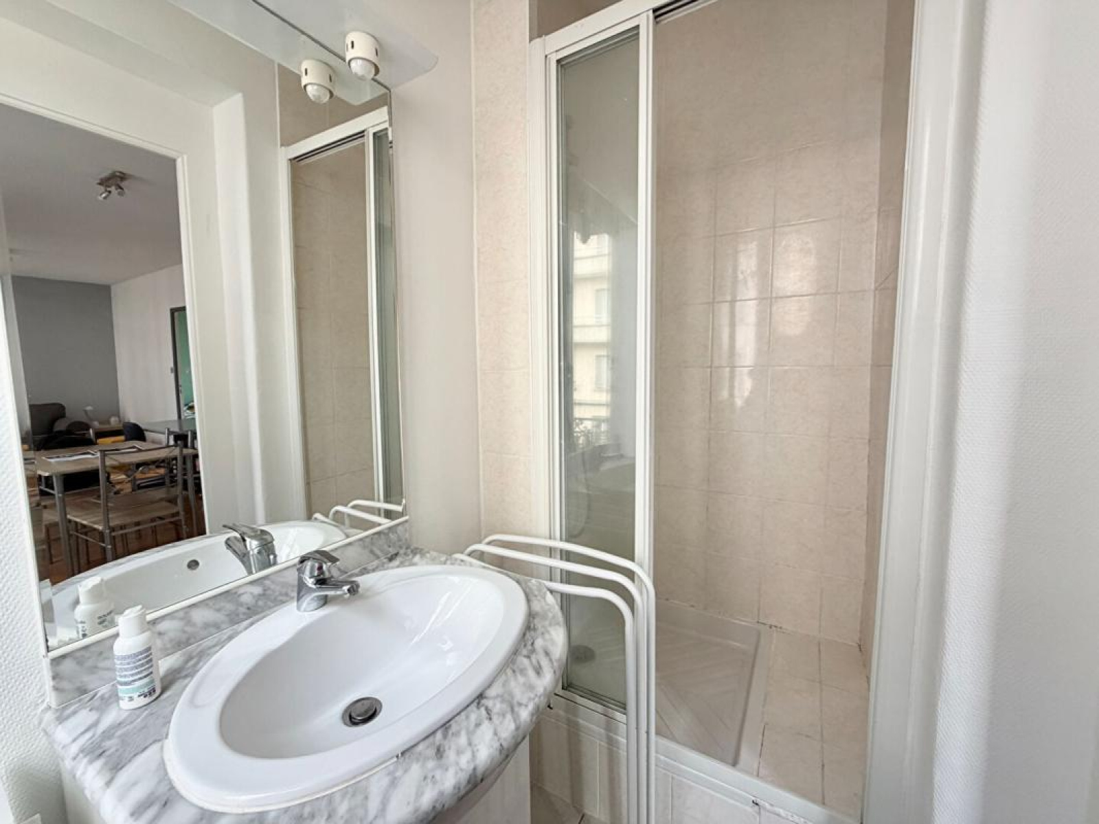 Image_7, Appartement, Lyon, ref :1787