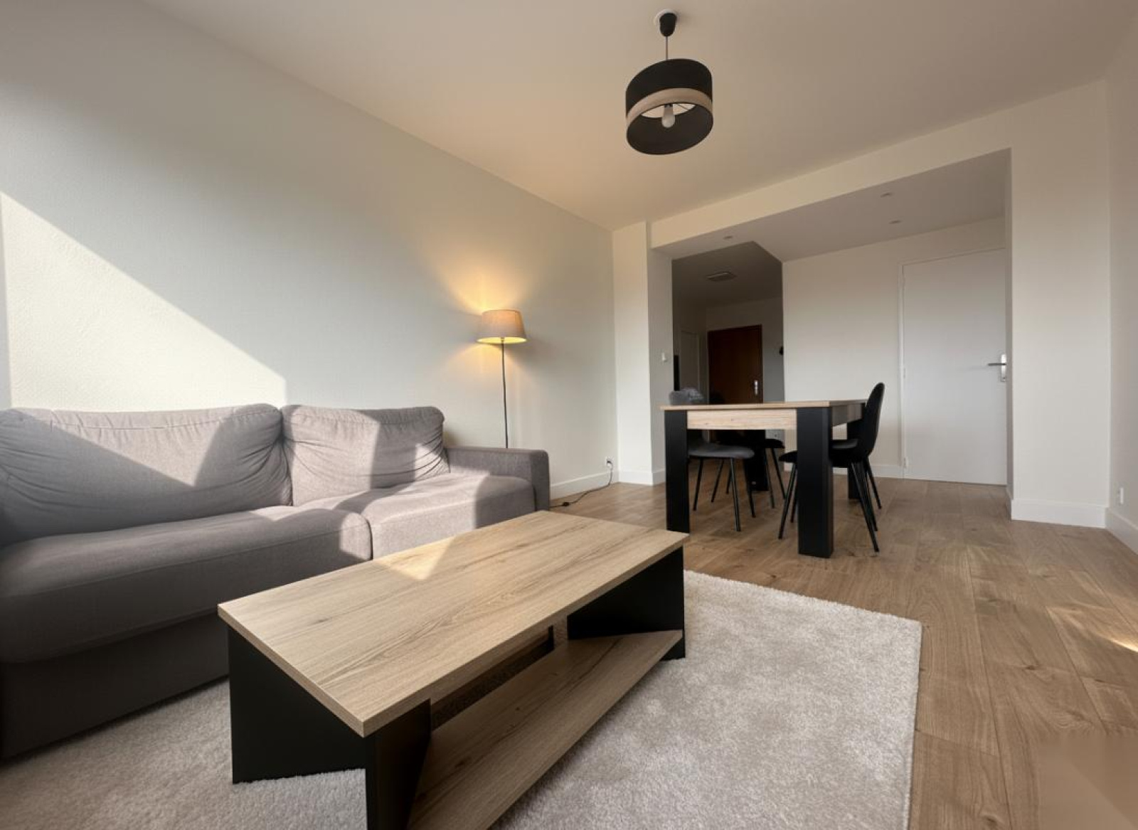 Image_1, Appartement, Roanne, ref :12234