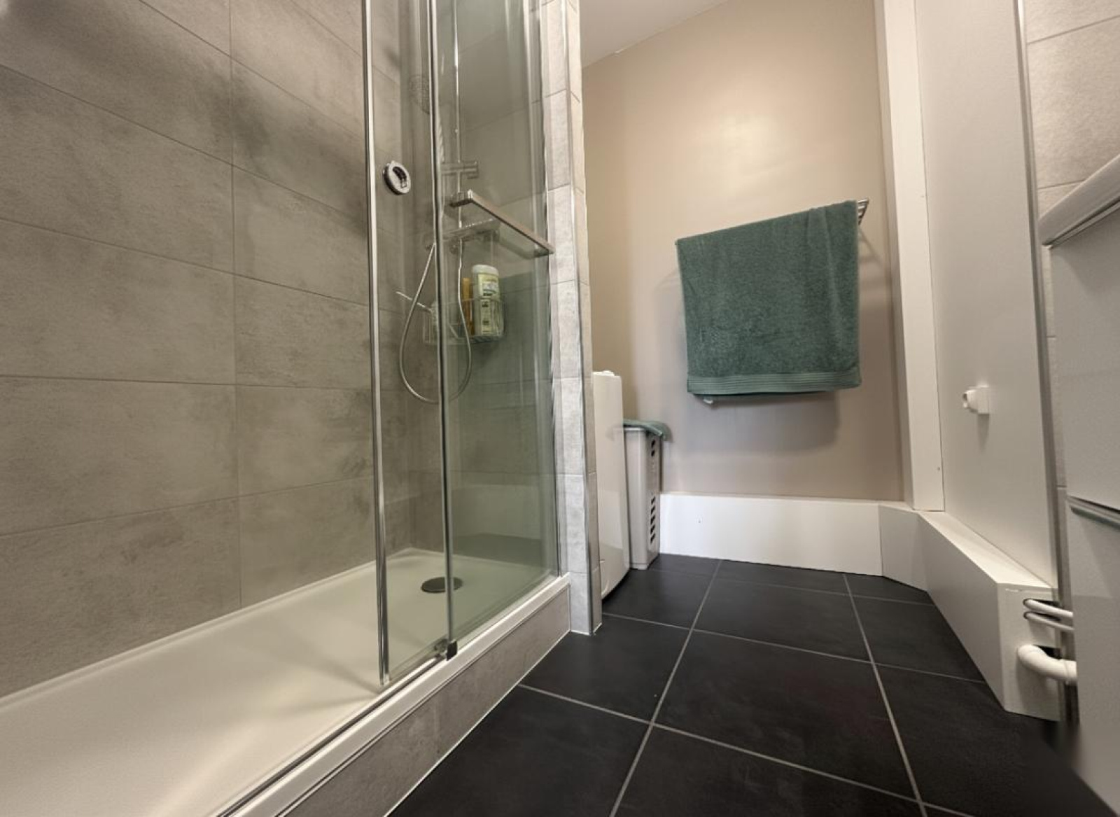 Image_6, Appartement, Roanne, ref :12234