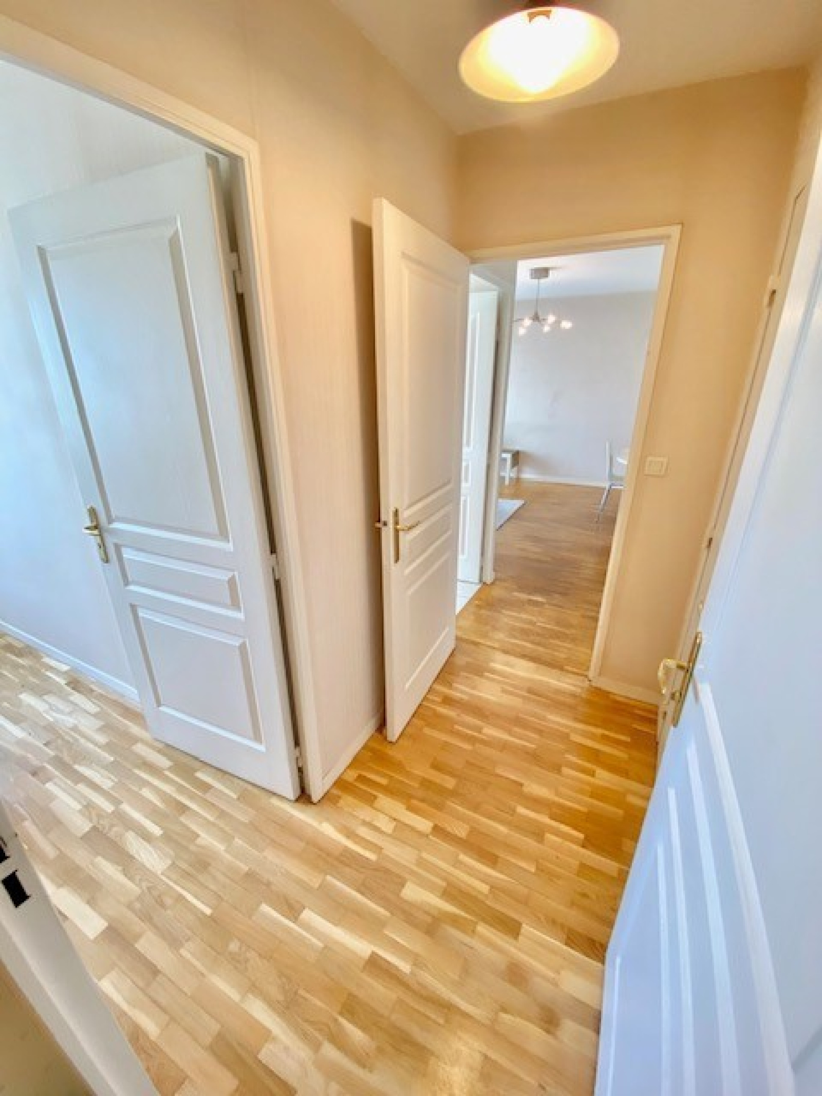 Image_6, Appartement, Villeurbanne, ref :119060