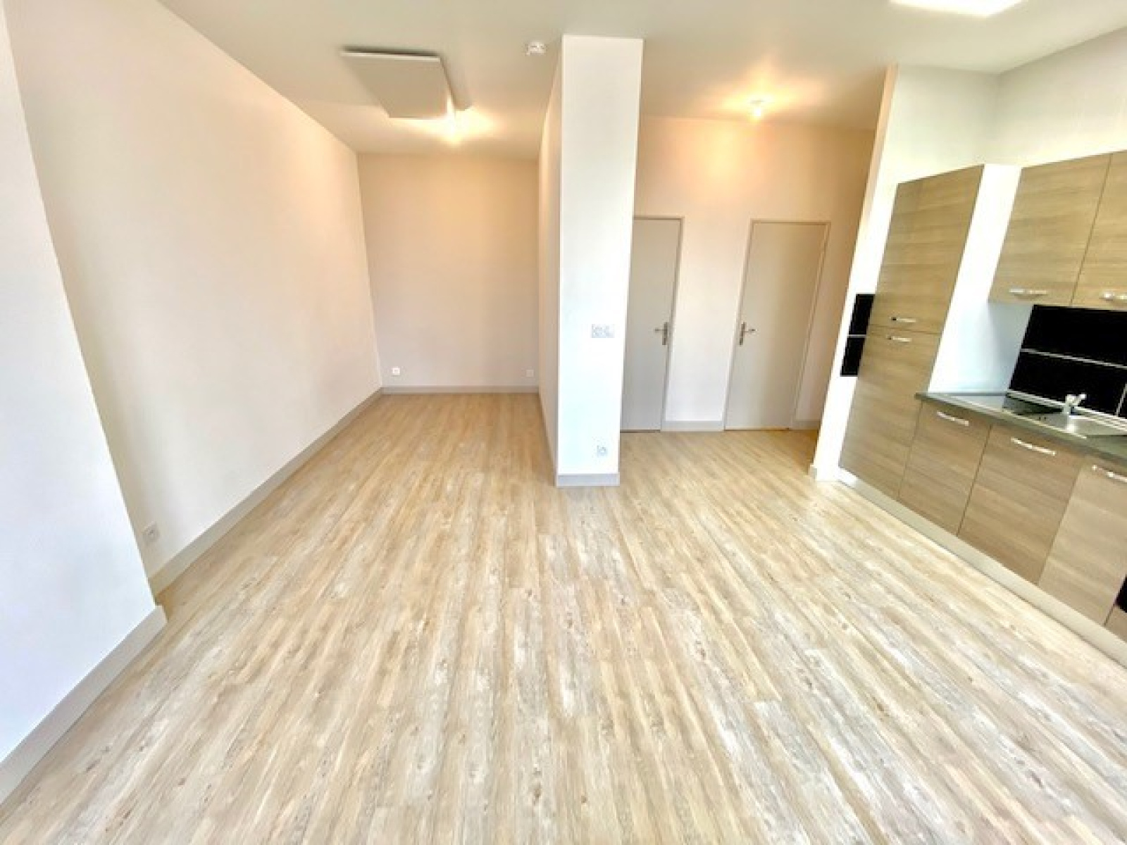Image_2, Appartement, Villeurbanne, ref :118355