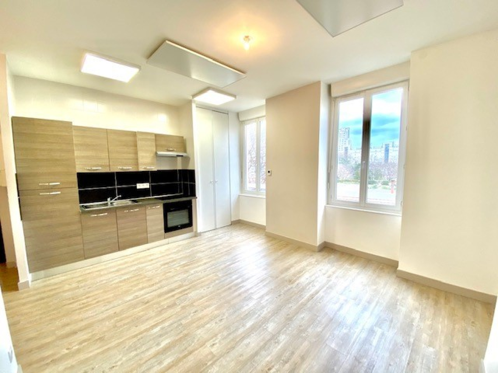 Image_4, Appartement, Villeurbanne, ref :118355