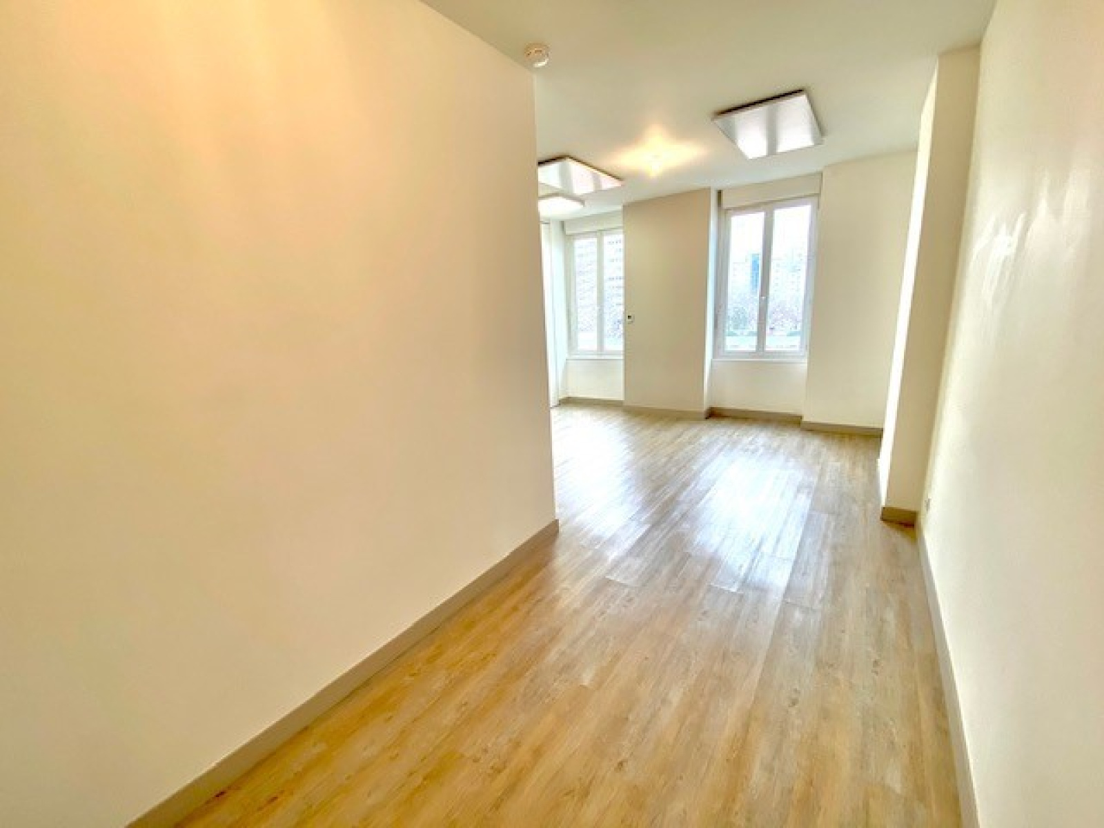 Image_7, Appartement, Villeurbanne, ref :118355