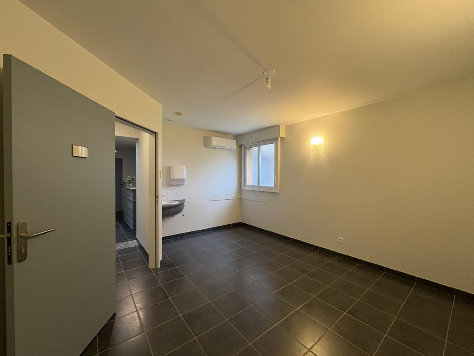 Image_6, Local commercial, Lentigny, ref :119179