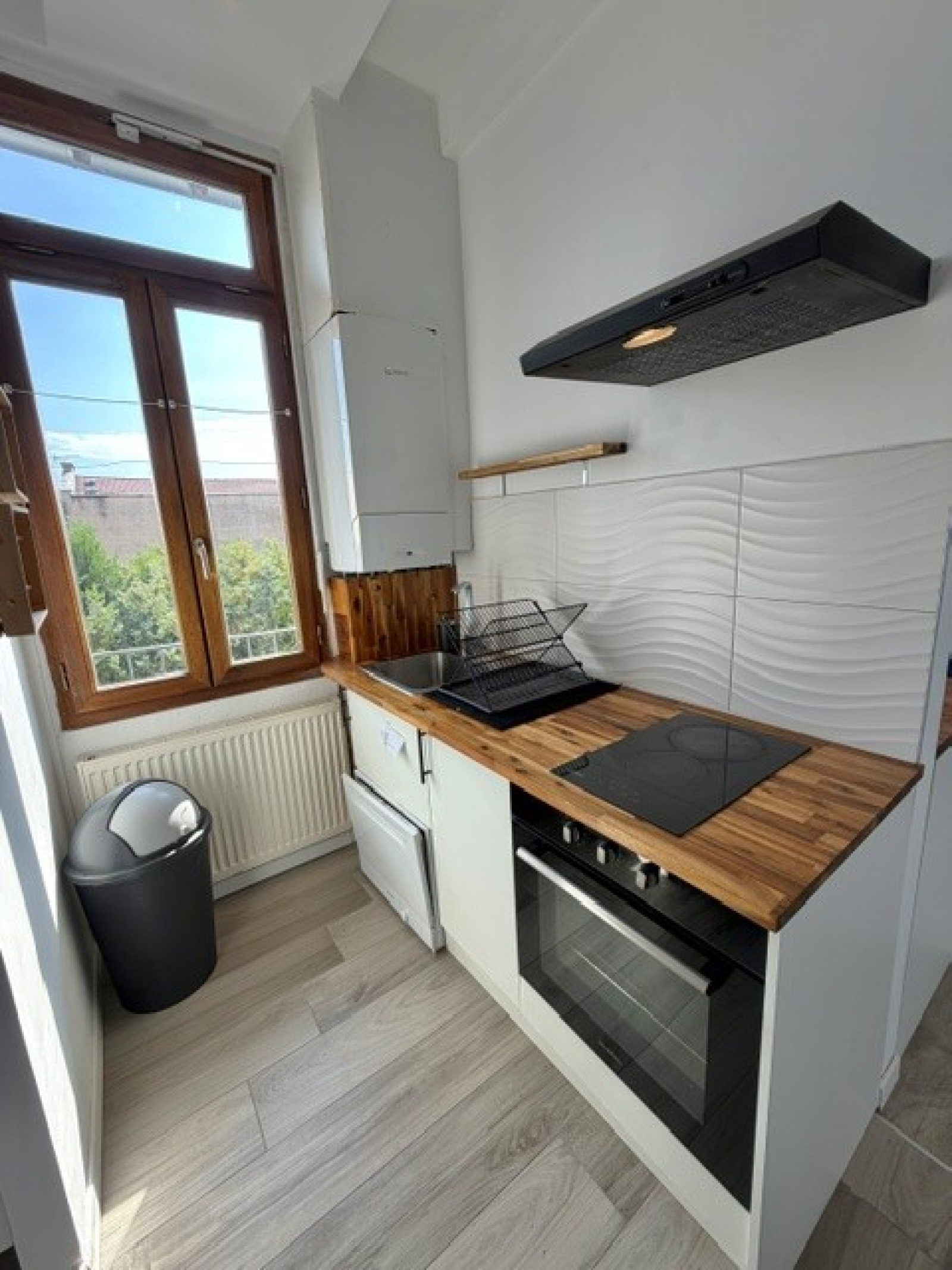 Image_3, Appartement, Villeurbanne, ref :123494