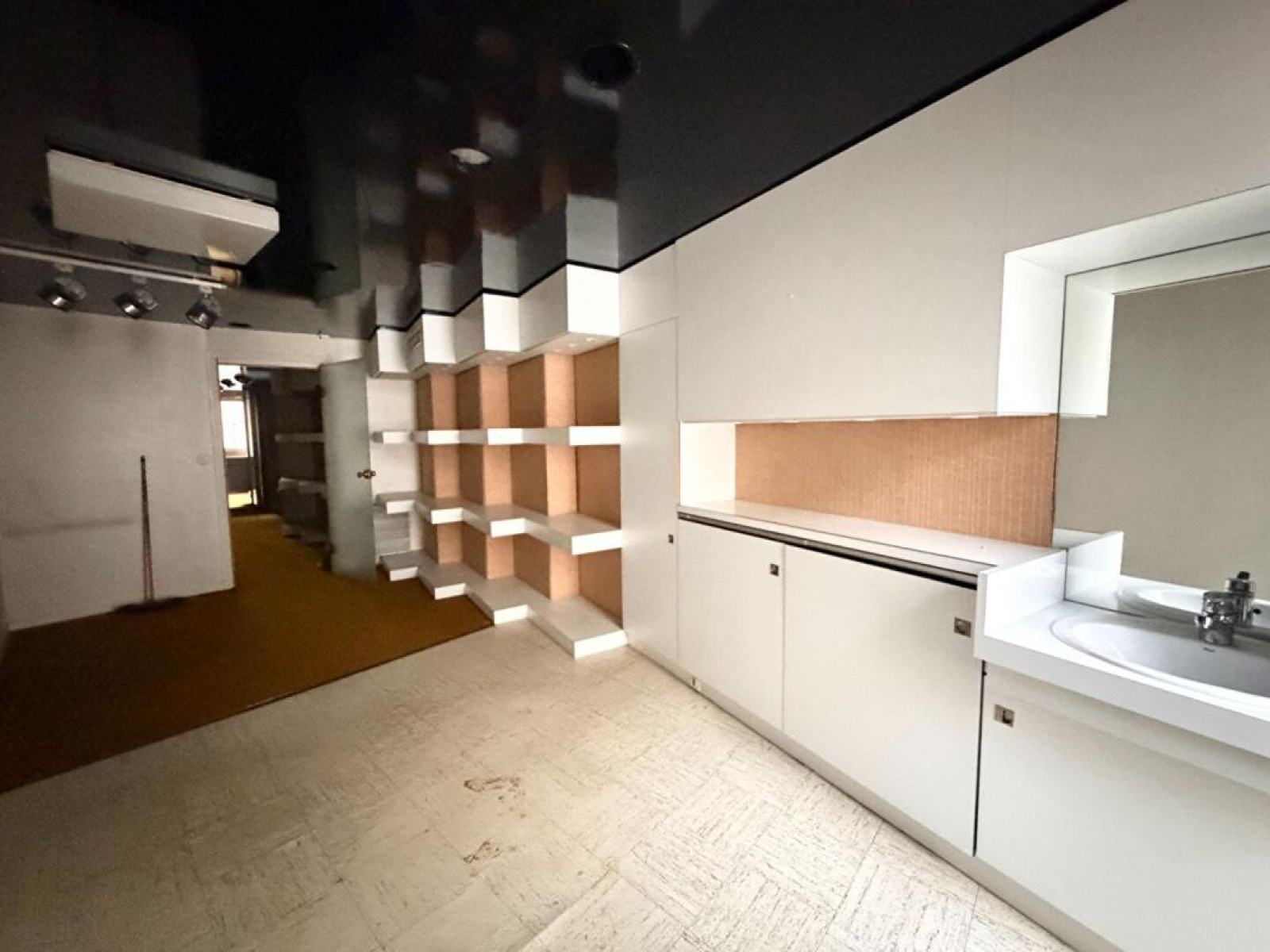 Image_6, Immeuble, Roanne, ref :12234TC