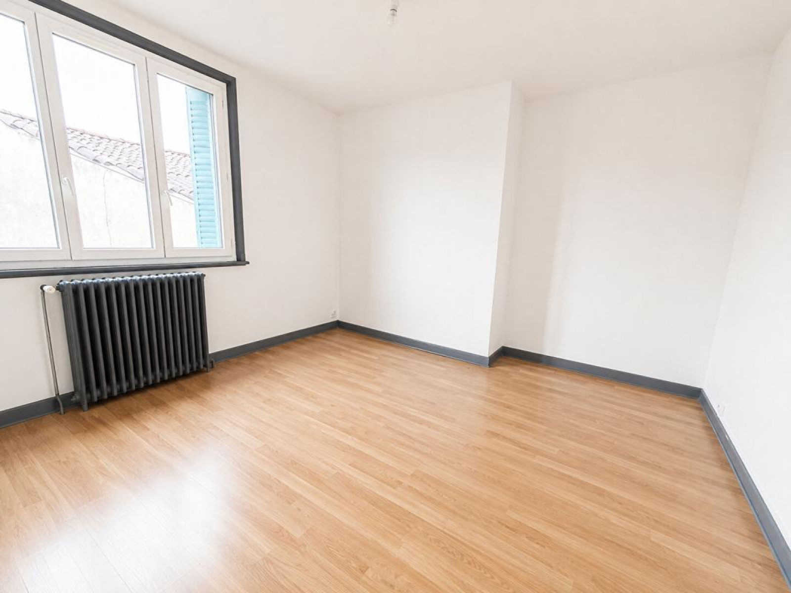 Image_4, Immeuble, Roanne, ref :CATH1869