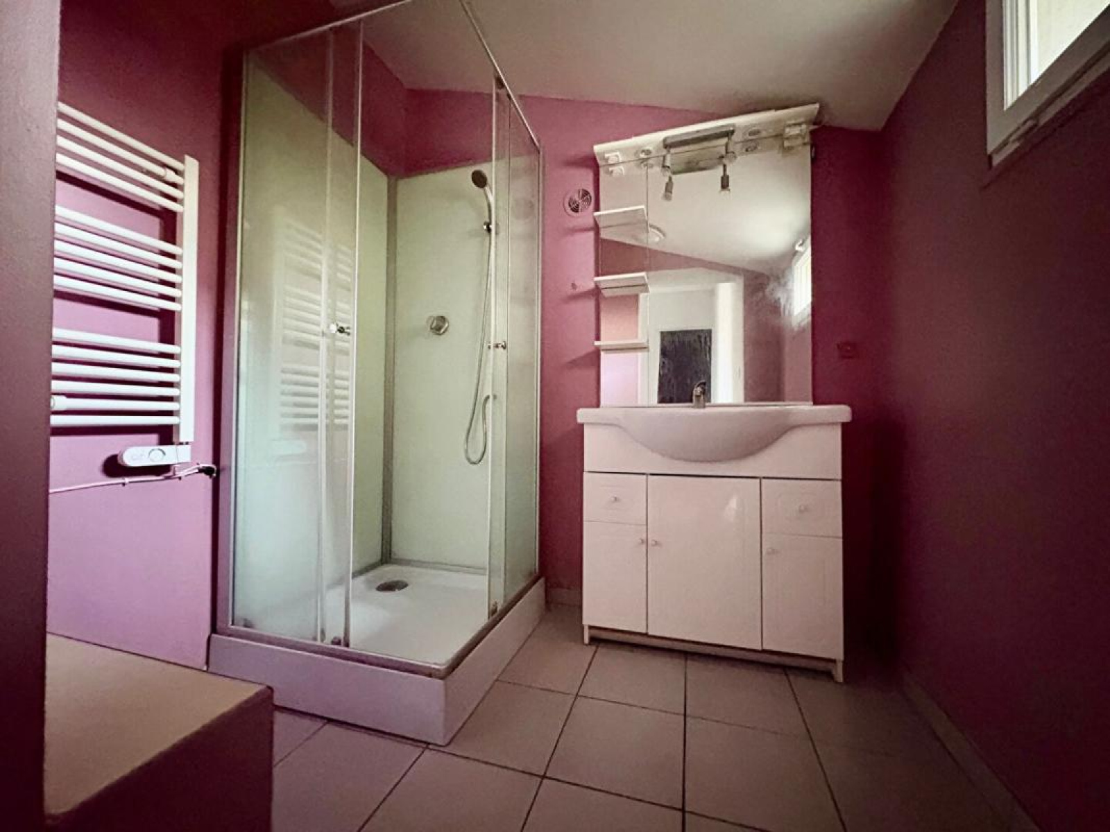 Image_7, Immeuble, Roanne, ref :CATH1869