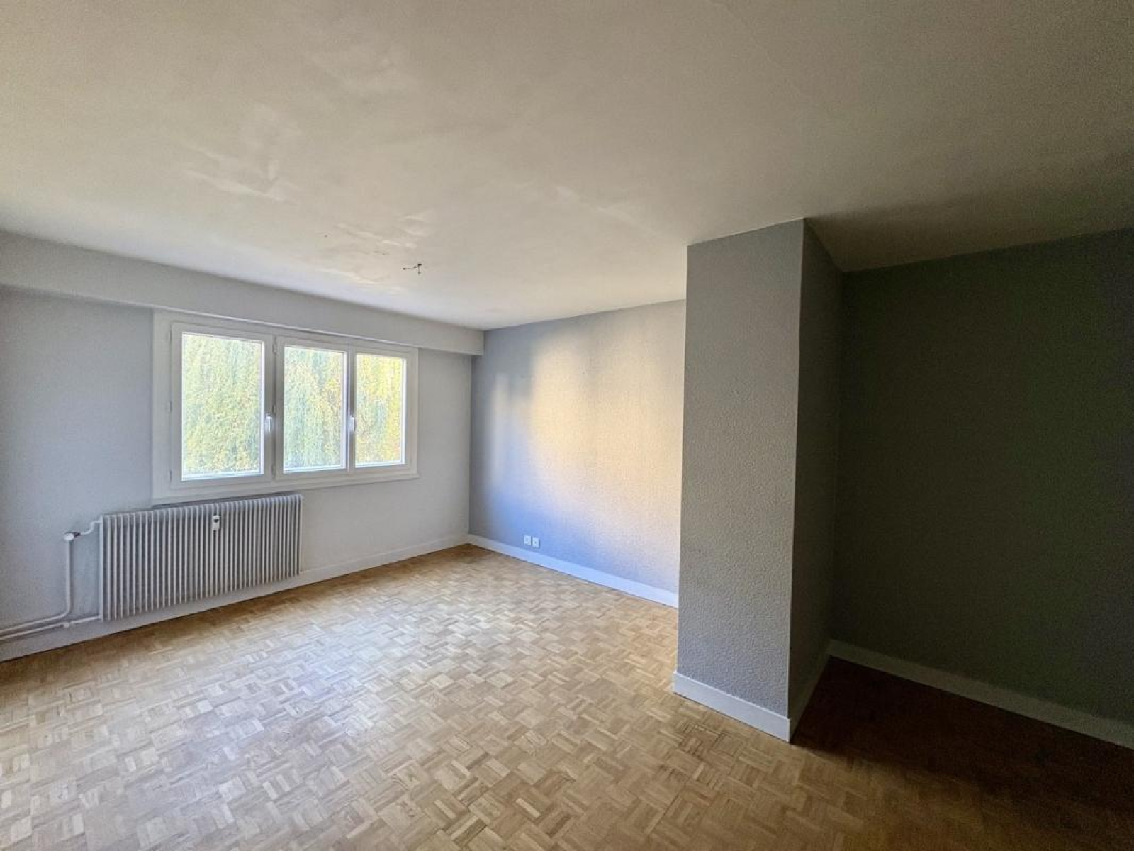 Image_4, Appartement, Roanne, ref :120372