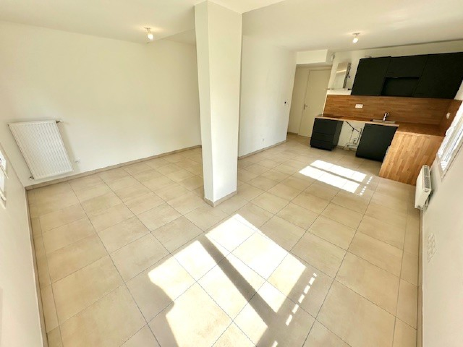 Image_1, Appartement, Lyon, ref :102598