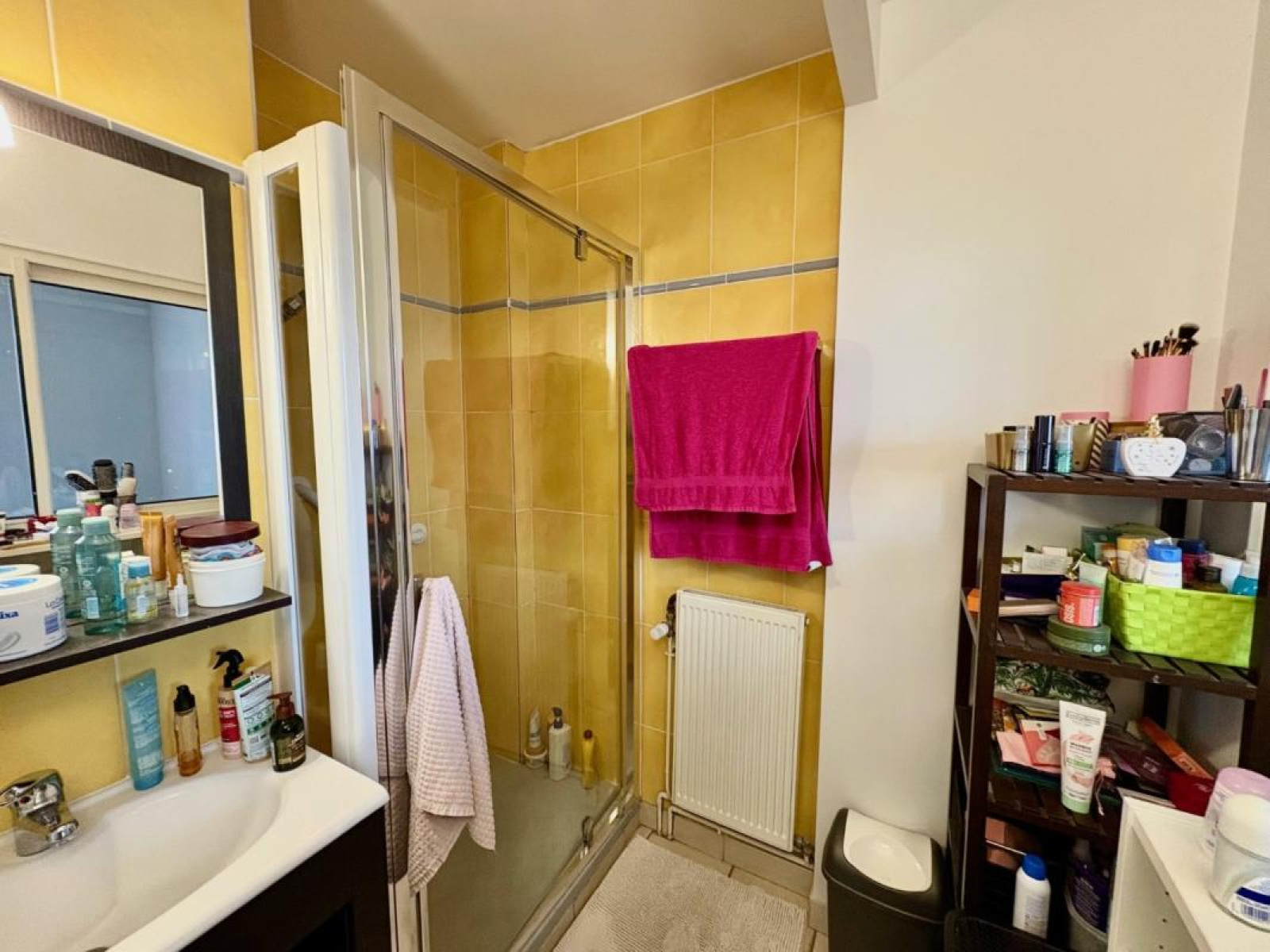 Image_10, Appartement, Roanne, ref :110475