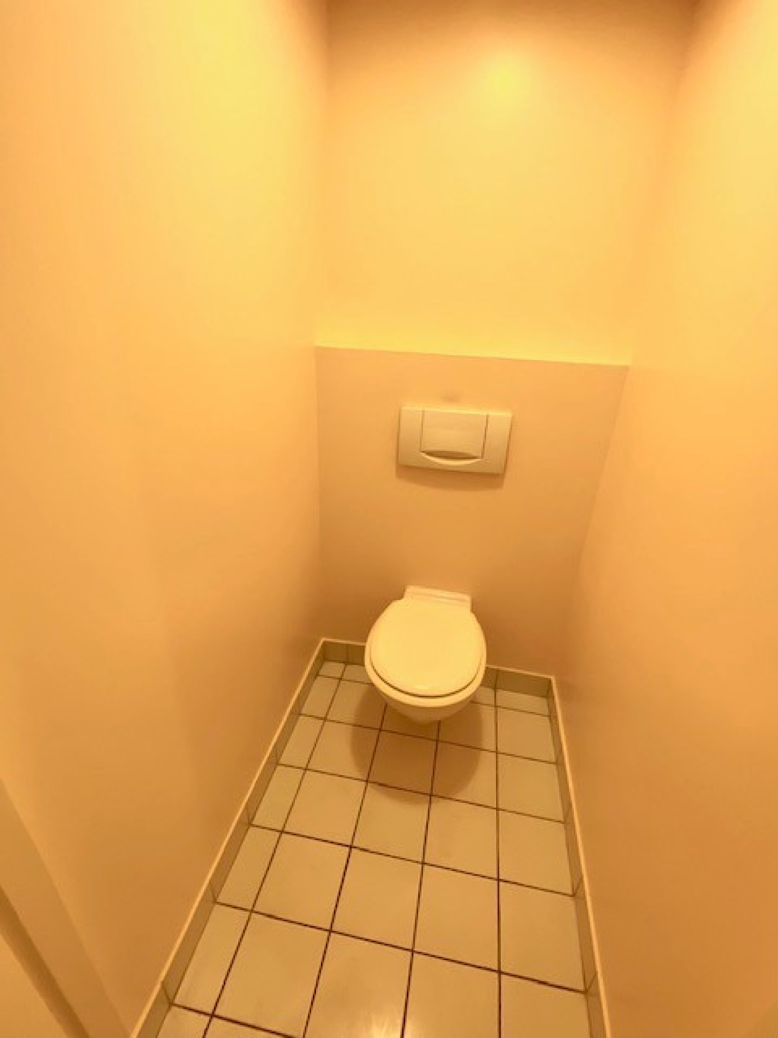 Image_9, Appartement, Lyon, ref :115014