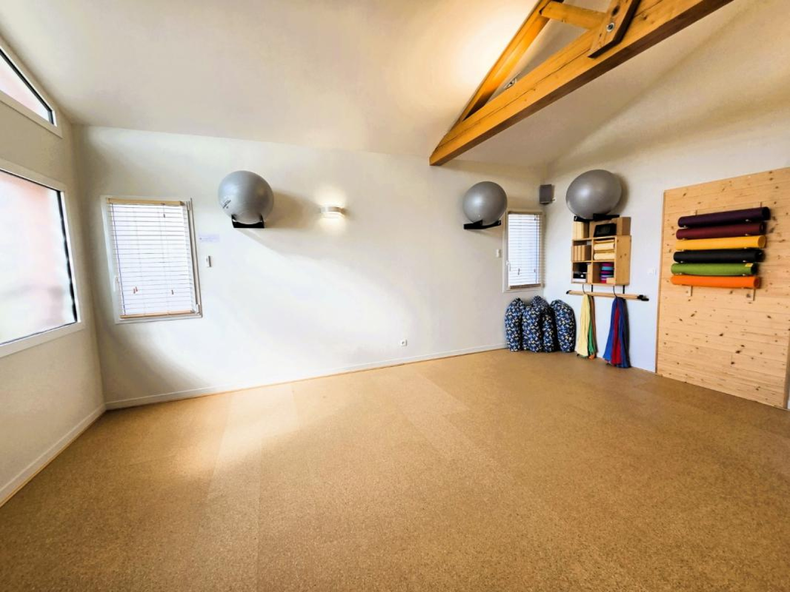 Image_7, Local commercial, Lentigny, ref :111083