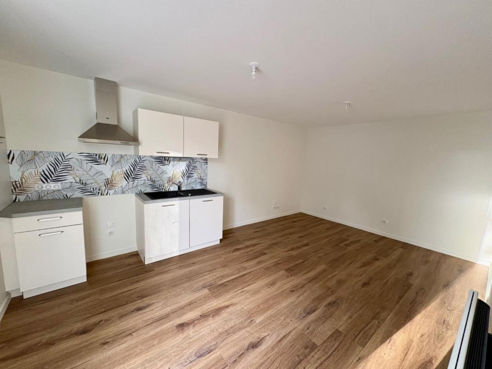 Image_1, Appartement, Noailly, ref :107159