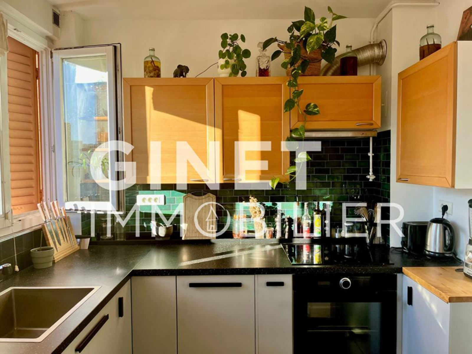 Image_1, Appartement, Villeurbanne, ref :122177WSED