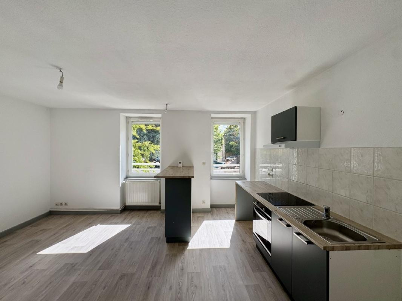 Image_2, Appartement, Roanne, ref :123306