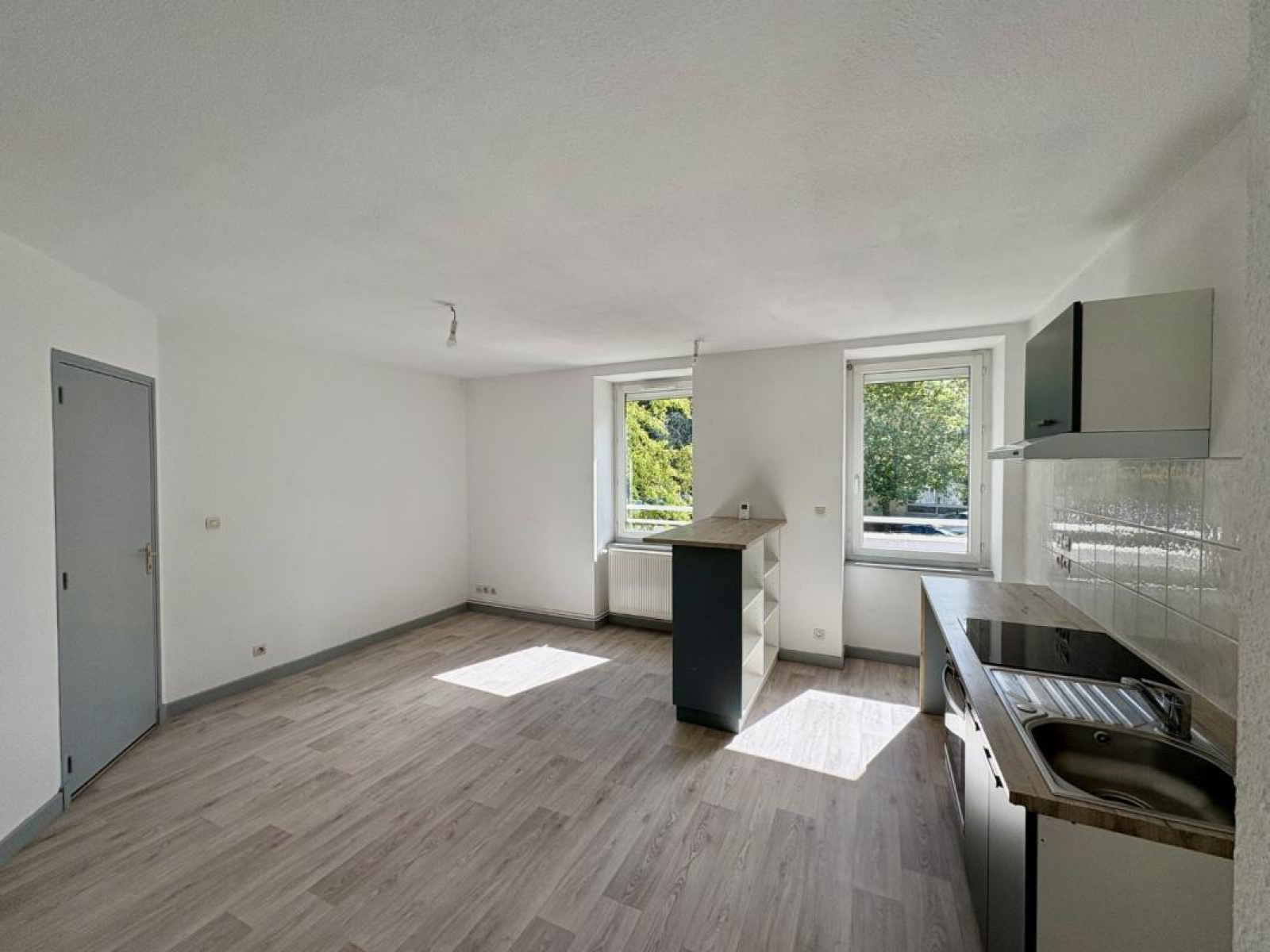 Image_1, Appartement, Roanne, ref :123306