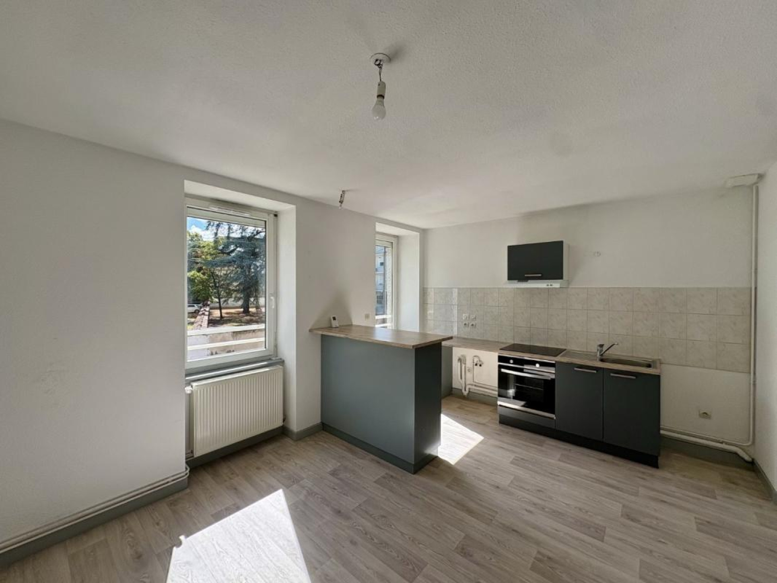 Image_3, Appartement, Roanne, ref :123306