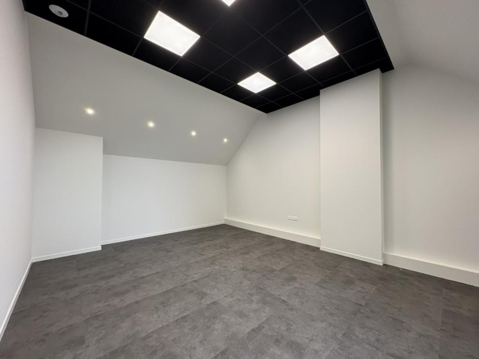 Image_12, Local commercial, Roanne, ref :100765