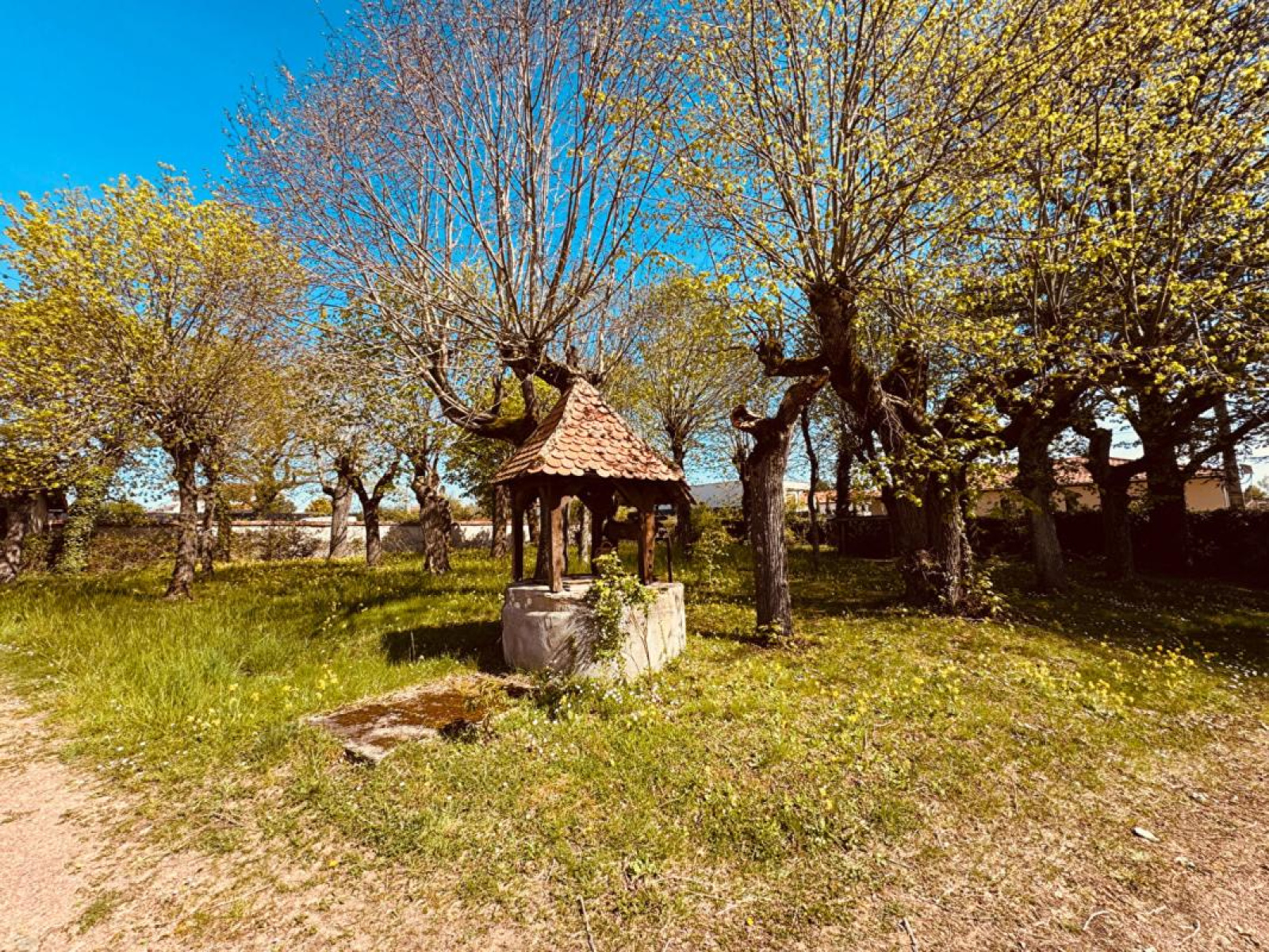 Image_17, Maison, Perreux, ref :12121A