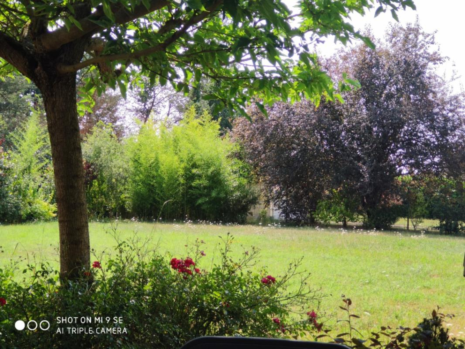 Image_3, Maison, Mizérieux, ref :1653