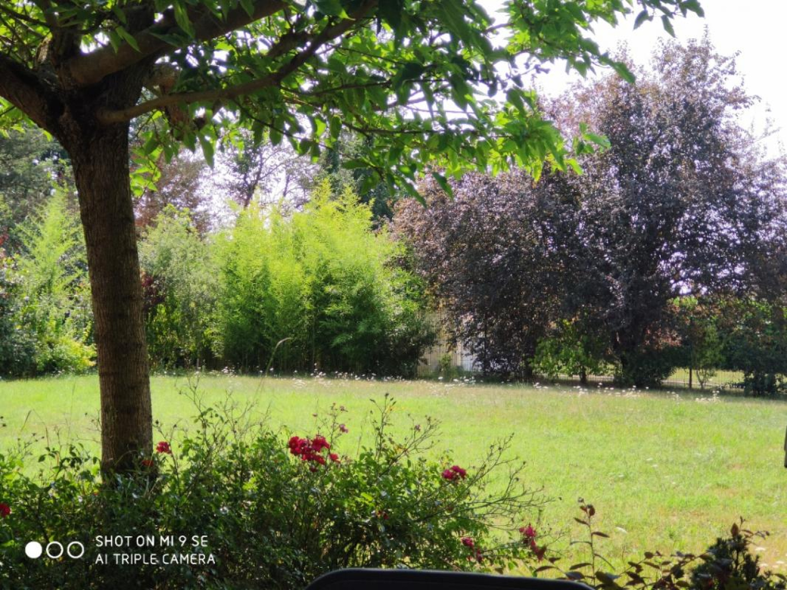 Image_3, Maison, Mizérieux, ref :1653