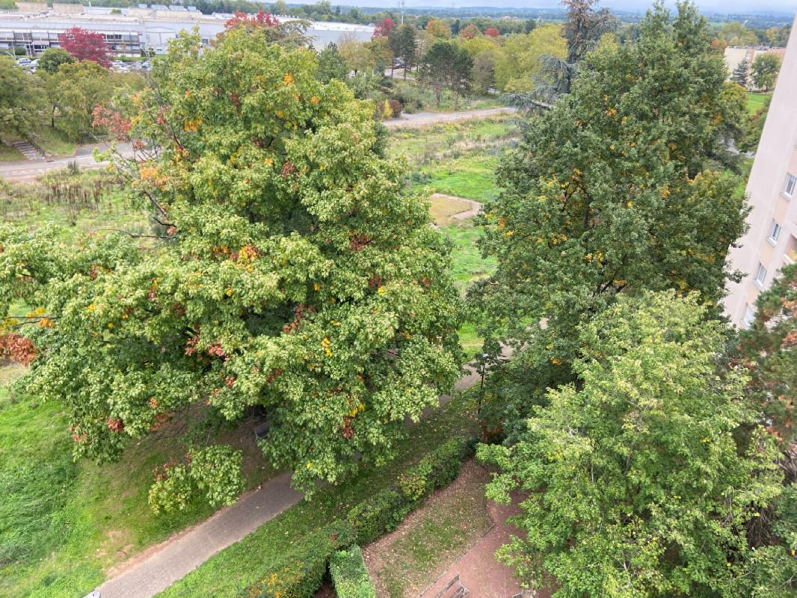 Image_8, Appartement, Roanne, ref :MG1686