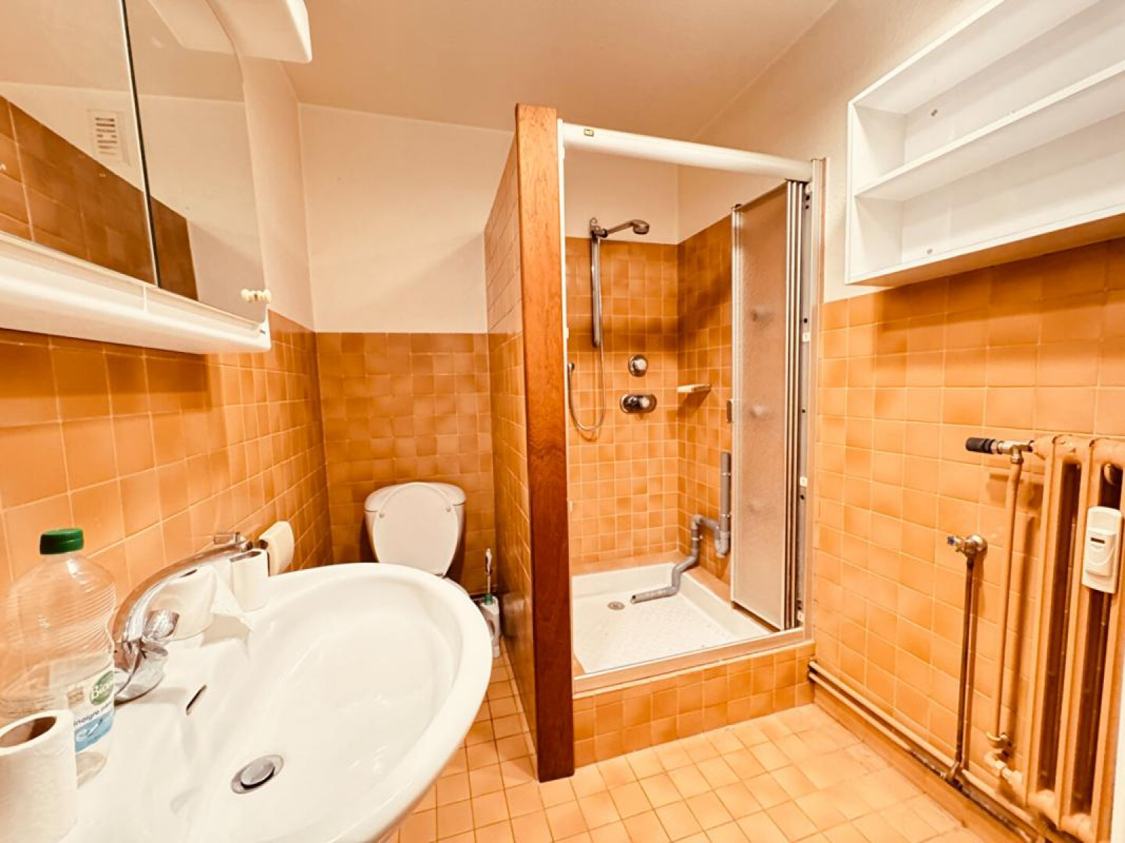 Image_8, Appartement, Roanne, ref :12222